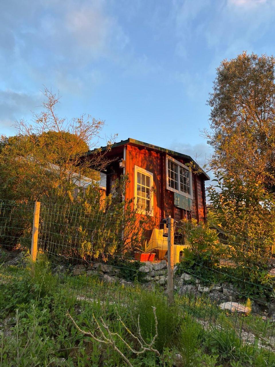 Quinta Laranja - Turismo Rural - Alvorninha Eksteriør billede