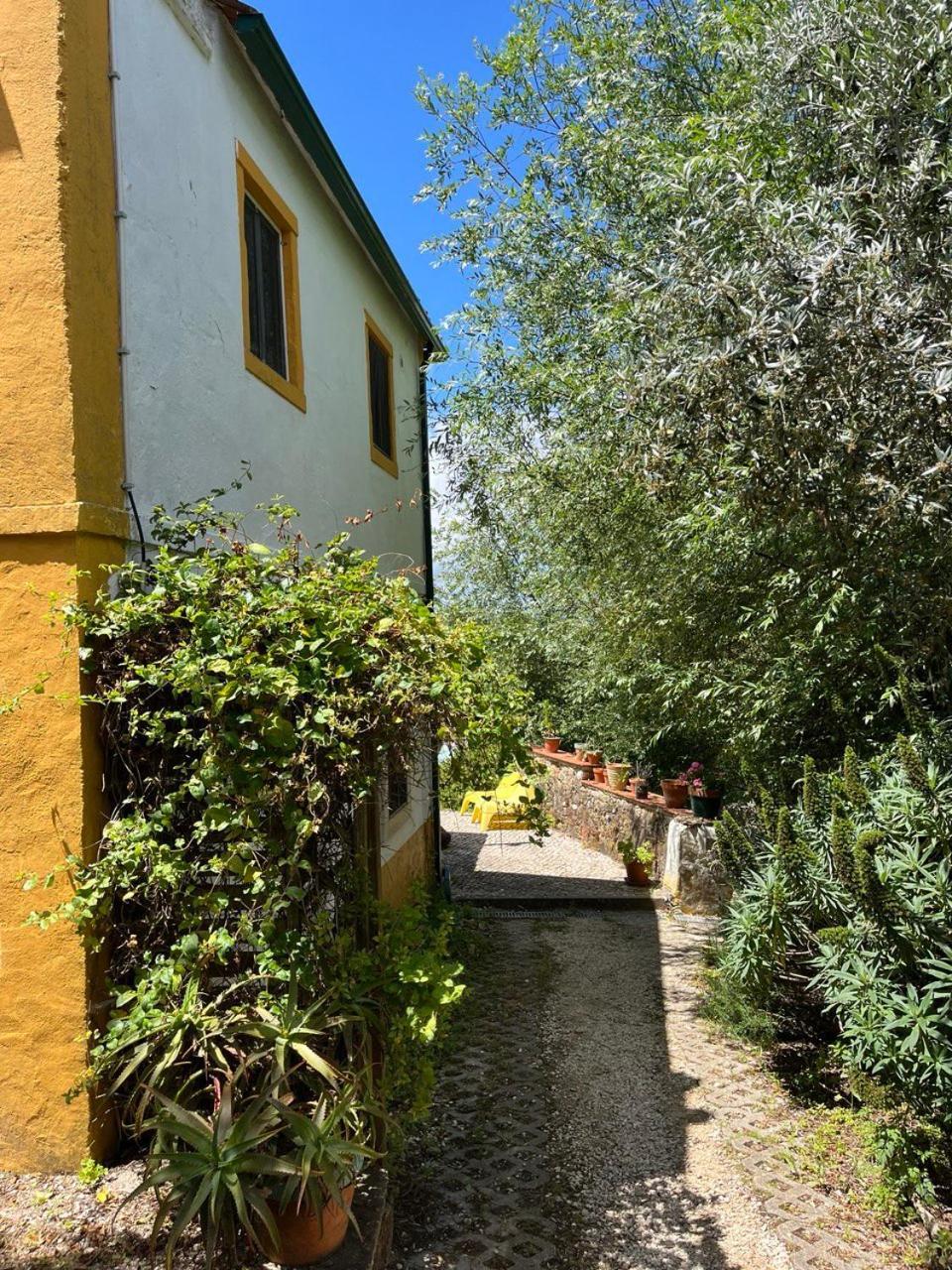 Quinta Laranja - Turismo Rural - Alvorninha Eksteriør billede